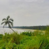 Отель Kannur Beachway Homestay, фото 24