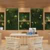 Отель Hilton La Romana, фото 41