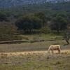 Отель Tambor del Llano, фото 29