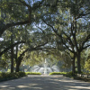 Отель Hyatt Regency Savannah, фото 20
