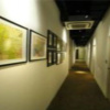 Отель Urbanpod Hotel, фото 10