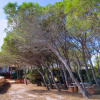 Отель Villa La Maddalena, фото 21