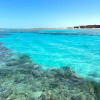 Отель Beachfront in 5 Star Hotel With Reef Hurghada, фото 11