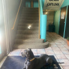 Отель The Block Hotel Bisbee, фото 18