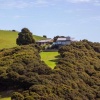Отель Waiheke Luxury Blue and Green Rooms, фото 9