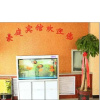 Отель Xinji Haoting Guest Hostel, фото 9