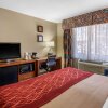 Отель Comfort Inn Near Gila National Forest, фото 34