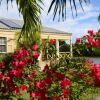 Отель Yepton Estate Cottages in Antigua, фото 26