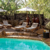 Отель Tshukudu Bush Lodge, фото 17