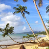 Отель Coconut Homes & Cafe, фото 20