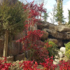 Отель Elgarden Hotel & Residence, фото 20
