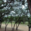 Отель A Home Away from Home Ranch, фото 4