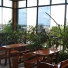 Отель Golden Inn, фото 21