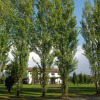 Отель Bio Agriturismo Tirtha, фото 9