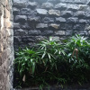 Отель Pandawa Villa Riverside by WizZeLa, фото 18