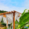Отель Hangzhou Zhinan Zhibei Homestay, фото 9