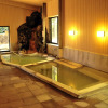 Отель Gora Hanaougi-Sounkaku, фото 7