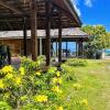 Отель RAIATEA - Bungalow Nautilus Pool, фото 16