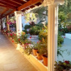 Отель Olive Grove Studios, фото 9