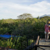 Отель Sereno Lodge, фото 5