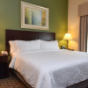 Отель Holiday Inn Express and Suites Springfield Medical District, an IHG Hotel, фото 7