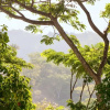 Отель Modern 2BR Condo - Minutes From Jaco Beach - Prime Location, фото 14