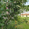 Отель B&B Il Filo', фото 16