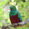 Отель Miriam's Quetzaly lodge, фото 11