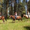 Отель Majestic Dude Ranch, фото 21