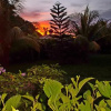 Отель Cabinas Gallazo, фото 11