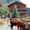 Отель Chalets of Ibex - Ttras Lyre apartment for 2 to 4 people, фото 4