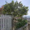 Отель Casetta in Collina Sanremo, фото 1