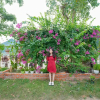 Отель Diep Le Homestay, фото 19