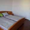 Отель Apartman Halex Centrum City aupark, фото 2