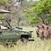 Отель Msunduze River Lodge, фото 16