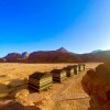 Отель Wadi Rum Memories Camp, фото 21