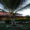 Отель Pousada Vida Bela Suites, фото 1