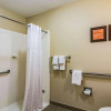 Отель Comfort Inn & Suites Chattanooga West - Lookout Mountain, фото 8