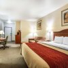 Отель Comfort Inn & Suites Galt - Lodi North, фото 46