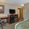 Отель Comfort Inn Shady Grove - Gaithersburg - Rockville, фото 7