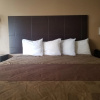 Отель Sunburst Spa & Suites Motel, фото 5
