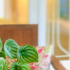 Отель Woodhill Villa Kota Bunga by Citrus House, фото 8