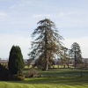 Отель Huntington Court, фото 1