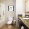 Отель Holiday Inn Phoenix - Chandler, an IHG Hotel, фото 9