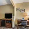 Отель Comfort Inn & Suites, фото 28