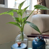 Отель Trang An Hotel, фото 20