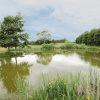 Отель Pond View, фото 15