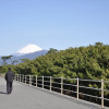 Отель Numazu Ikkyuuan, фото 1