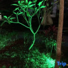 Отель Mohan Huating Hotel, фото 5