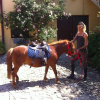 Отель Ridocco Agriturismo, фото 16